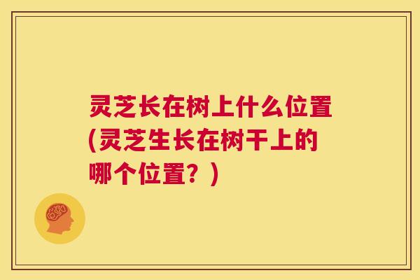 灵芝长在树上什么位置(灵芝生长在树干上的哪个位置?) 第1张 灵芝长在树上什么位置(灵芝生长在树干上的哪个位置?) 第1张