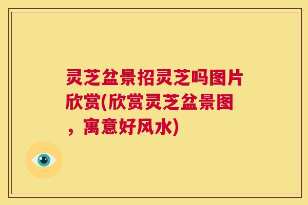 灵芝盆景招灵芝吗图片欣赏(欣赏灵芝盆景图,寓意好风水) 第1张 灵芝盆景招灵芝吗图片欣赏(欣赏灵芝盆景图,寓意好风水) 第1张