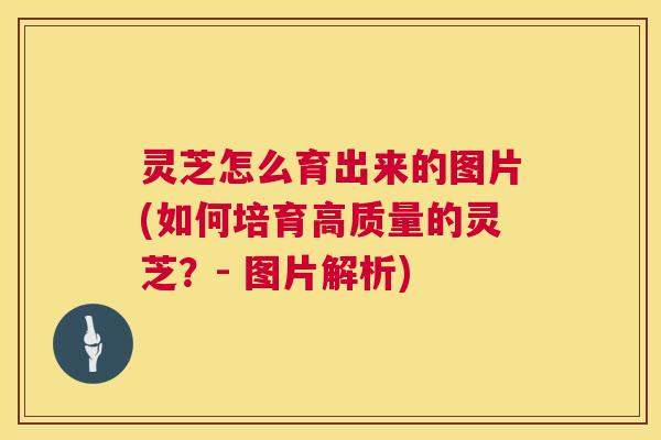 灵芝怎么育出来的图片(如何培育高质量的灵芝?- 图片解析) 第1张 灵芝怎么育出来的图片(如何培育高质量的灵芝?- 图片解析) 第1张