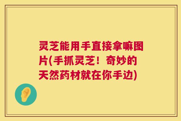 灵芝能用手直接拿嘛图片(手抓灵芝!奇妙的天然药材就在你手边) 第1张 灵芝能用手直接拿嘛图片(手抓灵芝!奇妙的天然药材就在你手边) 第1张