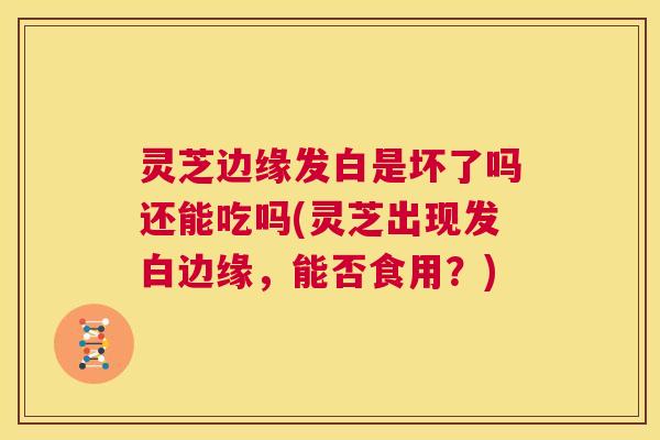 灵芝边缘发白是坏了吗还能吃吗(灵芝出现发白边缘,能否食用?) 第1张 灵芝边缘发白是坏了吗还能吃吗(灵芝出现发白边缘,能否食用?) 第1张