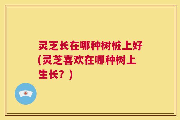 灵芝长在哪种树桩上好(灵芝喜欢在哪种树上生长?) 第1张 灵芝长在哪种树桩上好(灵芝喜欢在哪种树上生长?) 第1张