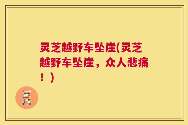 灵芝越野车坠崖(灵芝越野车坠崖，众人悲痛！)  第1张