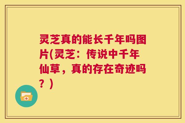 灵芝真的能长千年吗图片(灵芝:传说中千年仙草,真的存在奇迹吗?) 第1张 灵芝真的能长千年吗图片(灵芝:传说中千年仙草,真的存在奇迹吗?) 第1张