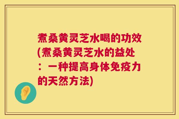 煮桑黄灵芝水喝的功效(煮桑黄灵芝水的益处:一种提高身体免疫力的天然方法) 第1张 煮桑黄灵芝水喝的功效(煮桑黄灵芝水的益处:一种提高身体免疫力的天然方法) 第1张