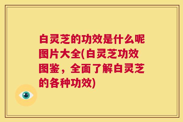 白灵芝的功效是什么呢图片大全(白灵芝功效图鉴，全面了解白灵芝的各种功效)  第1张
