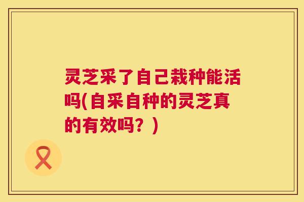 灵芝采了自己栽种能活吗(自采自种的灵芝真的有效吗？)  第1张