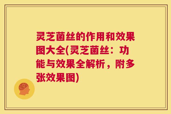 灵芝菌丝的作用和效果图大全(灵芝菌丝：功能与效果全解析，附多张效果图)  第1张