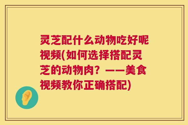灵芝配什么动物吃好呢视频(如何选择搭配灵芝的动物肉?——美食视频教你正确搭配) 第1张 灵芝配什么动物吃好呢视频(如何选择搭配灵芝的动物肉?——美食视频教你正确搭配) 第1张