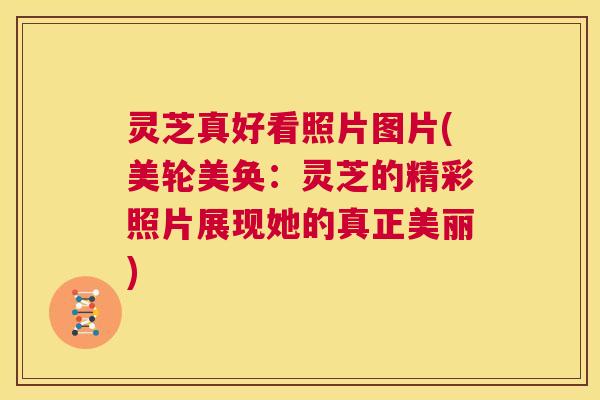 灵芝真好看照片图片(美轮美奂:灵芝的精彩照片展现她的真正美丽) 第1张 灵芝真好看照片图片(美轮美奂:灵芝的精彩照片展现她的真正美丽) 第1张