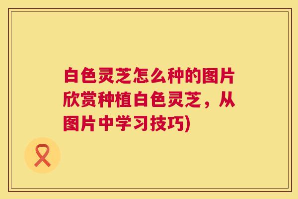 白色灵芝怎么种的图片欣赏种植白色灵芝,从图片中学习技巧) 第1张 白色灵芝怎么种的图片欣赏种植白色灵芝,从图片中学习技巧) 第1张