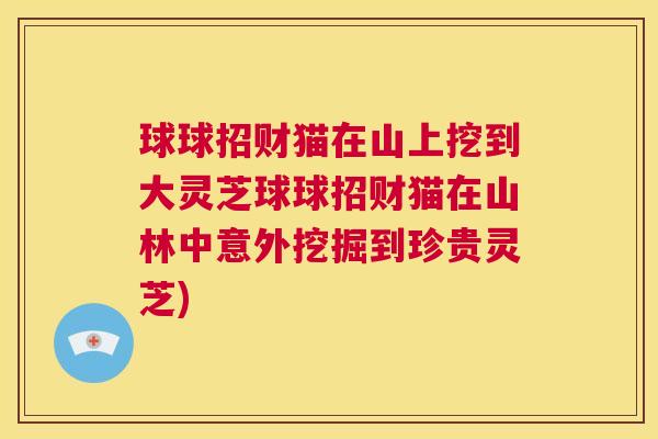 球球招财猫在山上挖到大灵芝球球招财猫在山林中意外挖掘到珍贵灵芝) 第1张 球球招财猫在山上挖到大灵芝球球招财猫在山林中意外挖掘到珍贵灵芝) 第1张