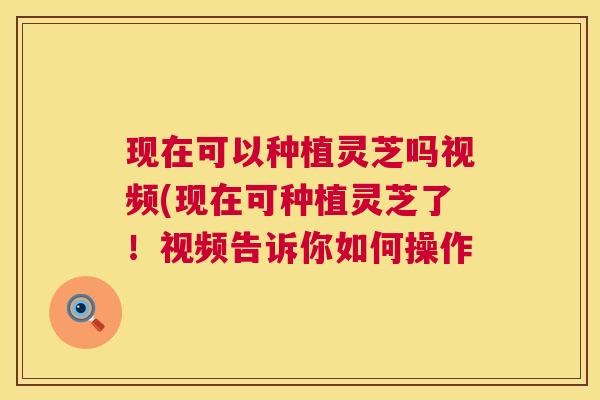 现在可以种植灵芝吗视频(现在可种植灵芝了!视频告诉你如何操作 第1张 现在可以种植灵芝吗视频(现在可种植灵芝了!视频告诉你如何操作 第1张