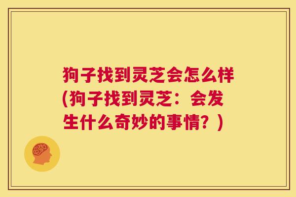 狗子找到灵芝会怎么样(狗子找到灵芝：会发生什么奇妙的事情？)  第1张