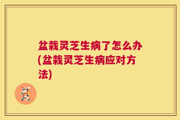 盆栽灵芝生病了怎么办(盆栽灵芝生病应对方法) 第1张 盆栽灵芝生病了怎么办(盆栽灵芝生病应对方法) 第1张