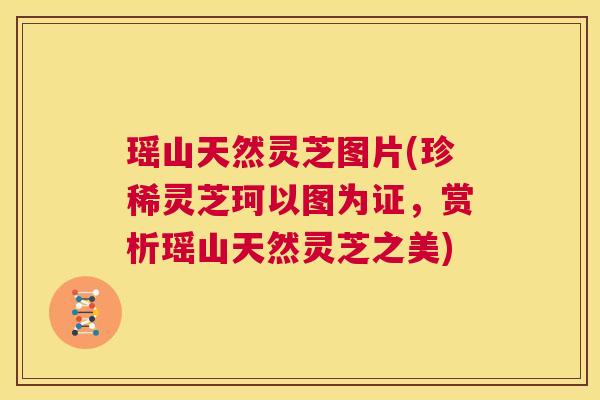 瑶山天然灵芝图片(珍稀灵芝珂以图为证，赏析瑶山天然灵芝之美)  第1张