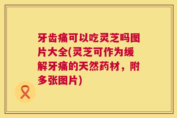 牙齿痛可以吃灵芝吗图片大全(灵芝可作为缓解牙痛的天然药材,附多张图片) 第1张 牙齿痛可以吃灵芝吗图片大全(灵芝可作为缓解牙痛的天然药材,附多张图片) 第1张