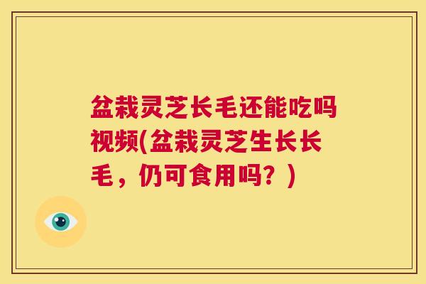 盆栽灵芝长毛还能吃吗视频(盆栽灵芝生长长毛,仍可食用吗?) 第1张 盆栽灵芝长毛还能吃吗视频(盆栽灵芝生长长毛,仍可食用吗?) 第1张