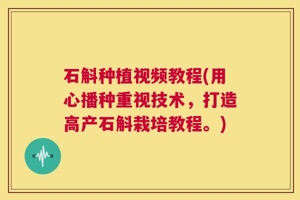 石斛种植视频教程(用心播种重视技术,打造高产石斛栽培教程。) 第1张 石斛种植视频教程(用心播种重视技术,打造高产石斛栽培教程。) 第1张
