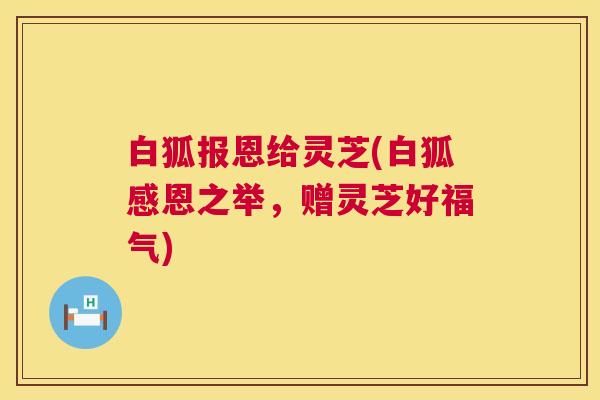 白狐报恩给灵芝(白狐感恩之举,赠灵芝好福气) 第1张 白狐报恩给灵芝(白狐感恩之举,赠灵芝好福气) 第1张