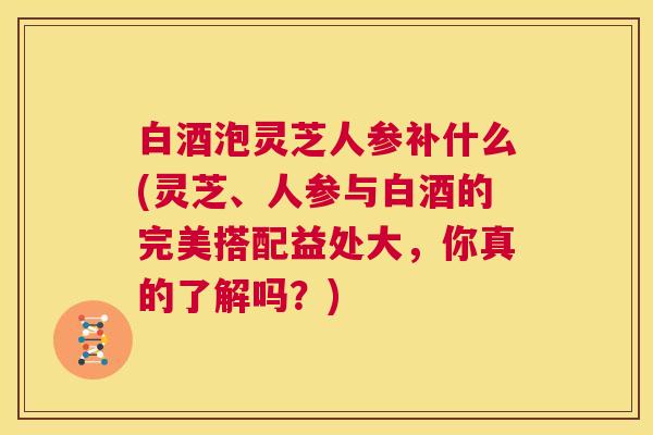 白酒泡灵芝人参补什么(灵芝、人参与白酒的完美搭配益处大,你真的了解吗?) 第1张 白酒泡灵芝人参补什么(灵芝、人参与白酒的完美搭配益处大,你真的了解吗?) 第1张
