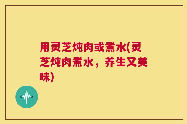 用灵芝炖肉或煮水(灵芝炖肉煮水,养生又美味) 第1张 用灵芝炖肉或煮水(灵芝炖肉煮水,养生又美味) 第1张