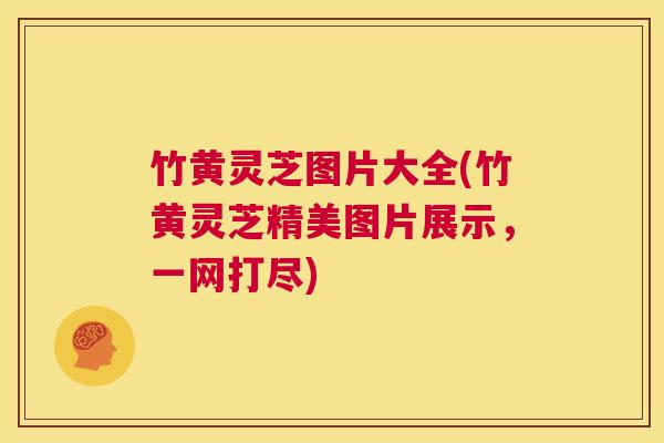 竹黄灵芝图片大全(竹黄灵芝精美图片展示,一网打尽) 第1张 竹黄灵芝图片大全(竹黄灵芝精美图片展示,一网打尽) 第1张