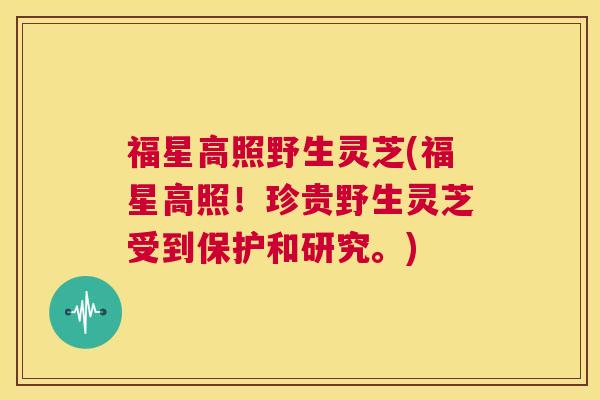 福星高照野生灵芝(福星高照！珍贵野生灵芝受到保护和研究。)  第1张