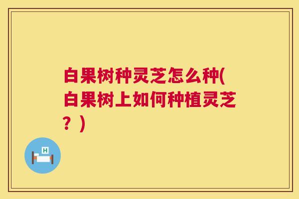 白果树种灵芝怎么种(白果树上如何种植灵芝？)  第1张