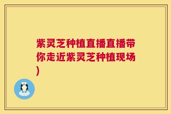 紫灵芝种植直播直播带你走近紫灵芝种植现场)  第1张