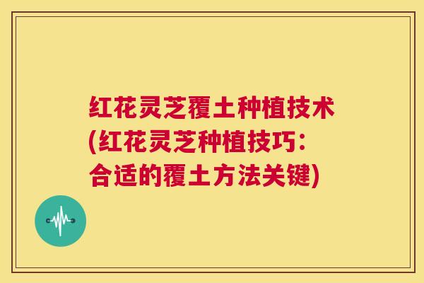 红花灵芝覆土种植技术(红花灵芝种植技巧：合适的覆土方法关键)  第1张