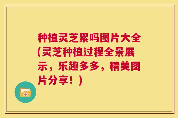 种植灵芝累吗图片大全(灵芝种植过程全景展示,乐趣多多,精美图片分享!) 第1张 种植灵芝累吗图片大全(灵芝种植过程全景展示,乐趣多多,精美图片分享!) 第1张