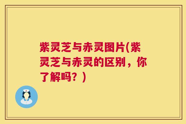 紫灵芝与赤灵图片(紫灵芝与赤灵的区别,你了解吗?) 第1张 紫灵芝与赤灵图片(紫灵芝与赤灵的区别,你了解吗?) 第1张
