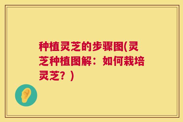 种植灵芝的步骤图(灵芝种植图解：如何栽培灵芝？)  第1张