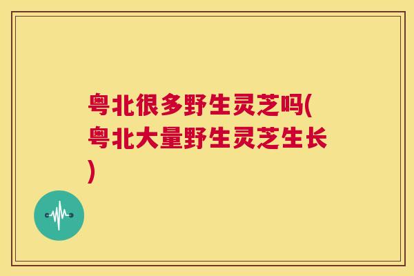 粤北很多野生灵芝吗(粤北大量野生灵芝生长) 第1张 粤北很多野生灵芝吗(粤北大量野生灵芝生长) 第1张
