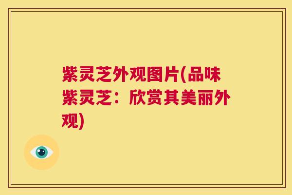 紫灵芝外观图片(品味紫灵芝：欣赏其美丽外观)  第1张