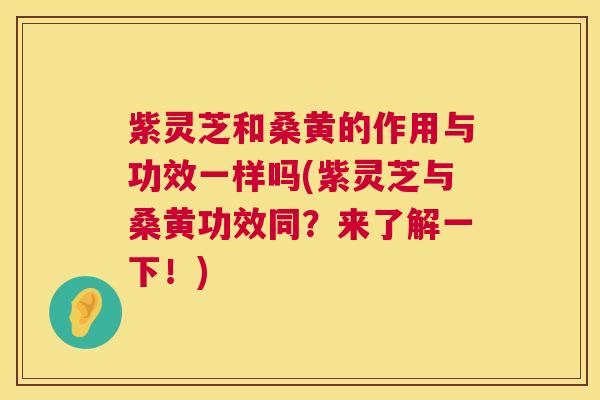 紫灵芝和桑黄的作用与功效一样吗(紫灵芝与桑黄功效同？来了解一下！)  第1张