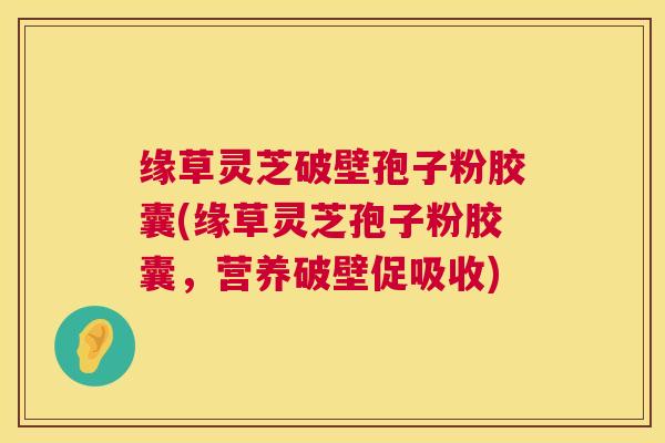 缘草灵芝破壁孢子粉胶囊(缘草灵芝孢子粉胶囊,营养破壁促吸收) 第1张 缘草灵芝破壁孢子粉胶囊(缘草灵芝孢子粉胶囊,营养破壁促吸收) 第1张
