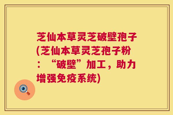 芝仙本草灵芝破壁孢子(芝仙本草灵芝孢子粉：“破壁”加工，助力增强免疫系统)  第1张
