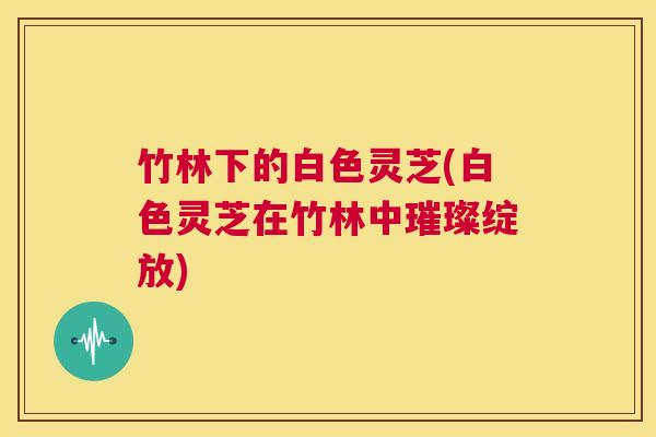 竹林下的白色灵芝(白色灵芝在竹林中璀璨绽放)  第1张