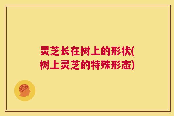 灵芝长在树上的形状(树上灵芝的特殊形态)  第1张