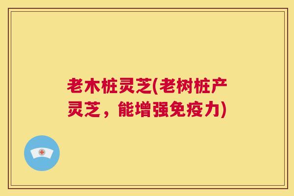 老木桩灵芝(老树桩产灵芝,能增强免疫力) 第1张 老木桩灵芝(老树桩产灵芝,能增强免疫力) 第1张
