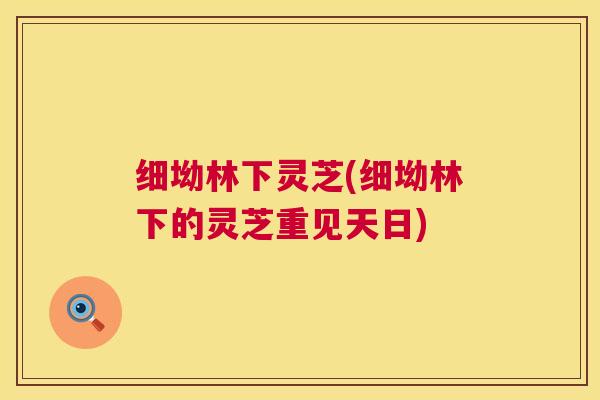 细坳林下灵芝(细坳林下的灵芝重见天日)  第1张