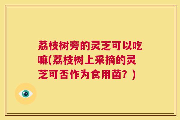荔枝树旁的灵芝可以吃嘛(荔枝树上采摘的灵芝可否作为食用菌?) 第1张 荔枝树旁的灵芝可以吃嘛(荔枝树上采摘的灵芝可否作为食用菌?) 第1张