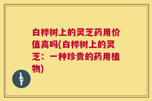白桦树上的灵芝药用价值高吗(白桦树上的灵芝：一种珍贵的药用植物)  第1张