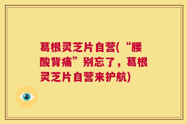 葛根灵芝片自营(“腰酸背痛”别忘了,葛根灵芝片自营来护航) 第1张 葛根灵芝片自营(“腰酸背痛”别忘了,葛根灵芝片自营来护航) 第1张