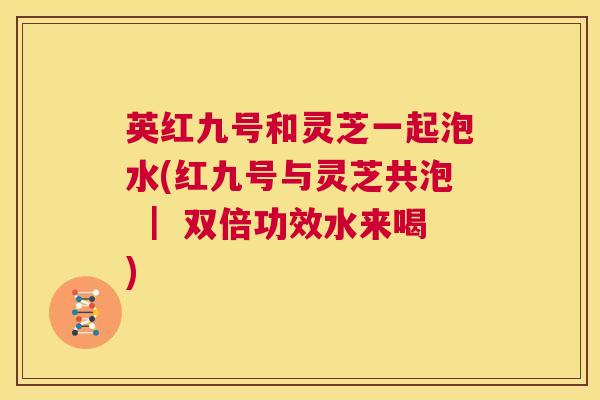 英红九号和灵芝一起泡水(红九号与灵芝共泡 ｜ 双倍功效水来喝)  第1张