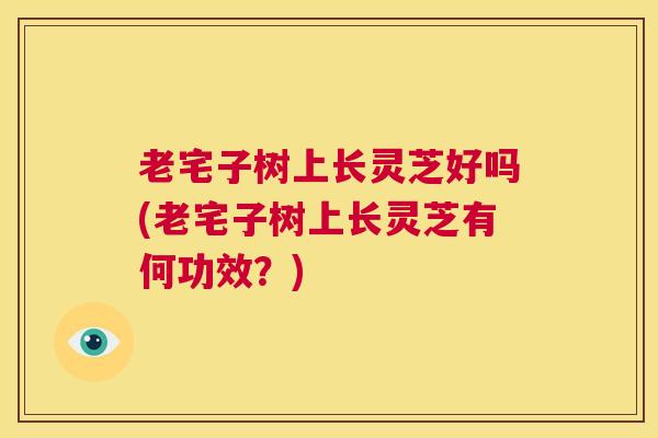 老宅子树上长灵芝好吗(老宅子树上长灵芝有何功效？)  第1张