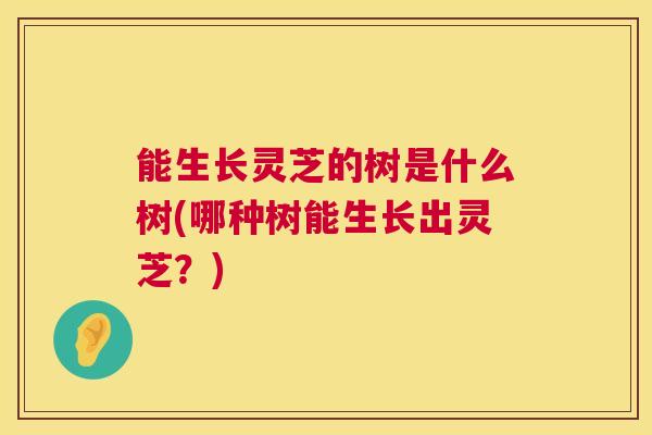 能生长灵芝的树是什么树(哪种树能生长出灵芝？)  第1张