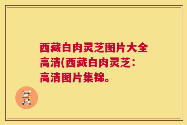 西藏白肉灵芝图片大全高清(西藏白肉灵芝：高清图片集锦。  第1张
